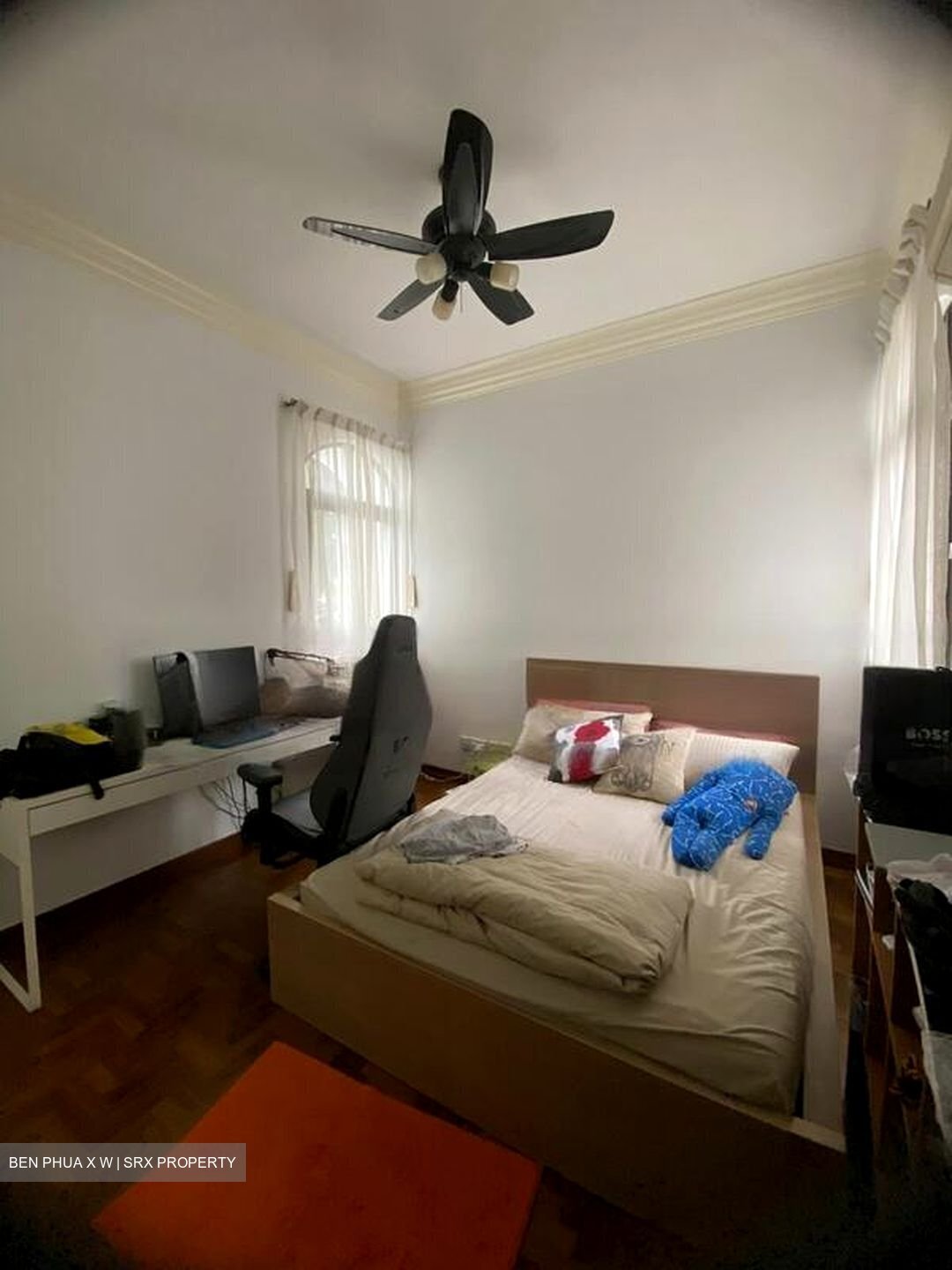 Tanglin Park (D10), Condominium #456809071
